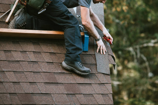 Skylights in Bremerton, WA